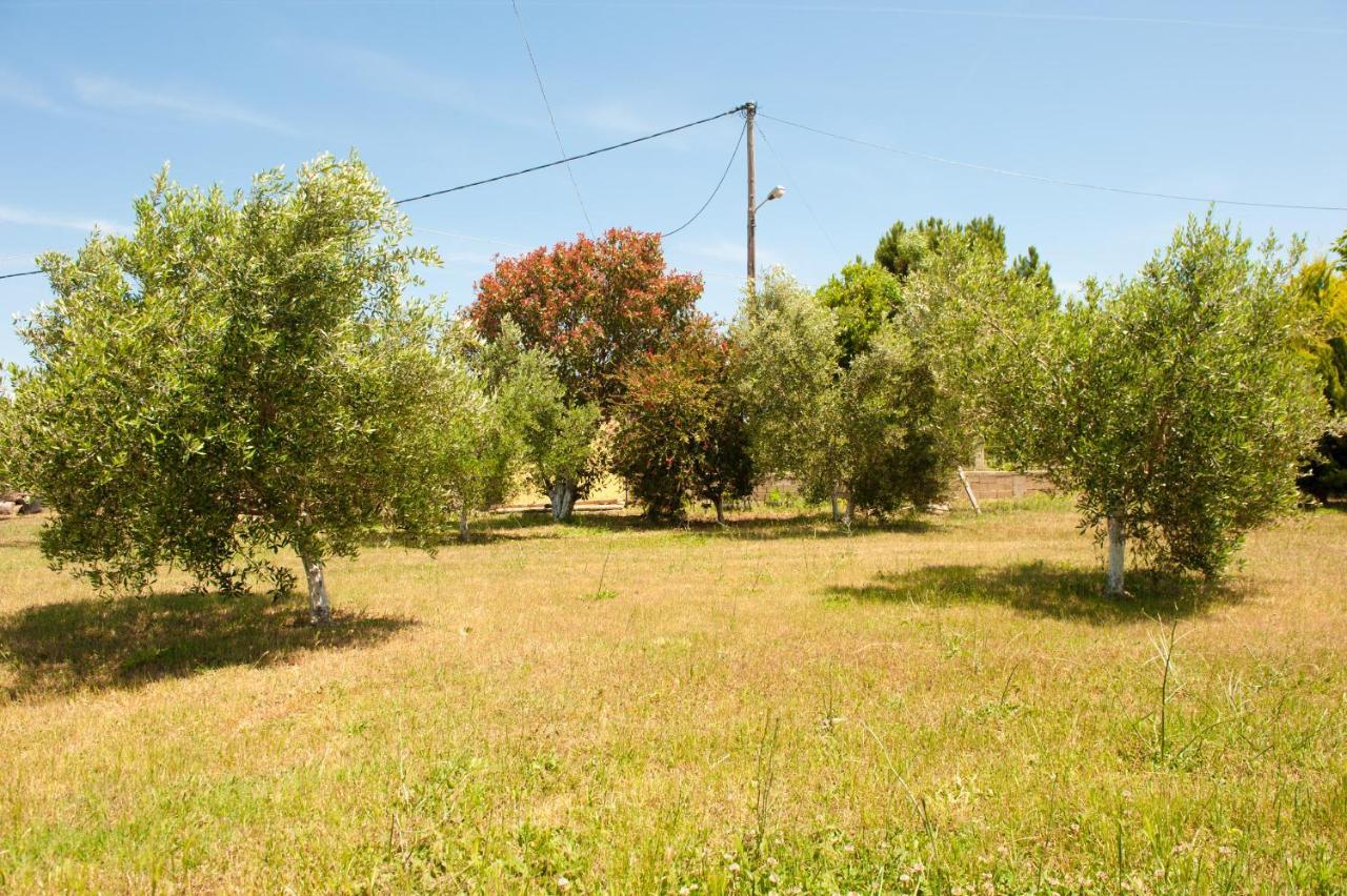Olives Estate Apartments Grande 普雷韦扎 外观 照片
