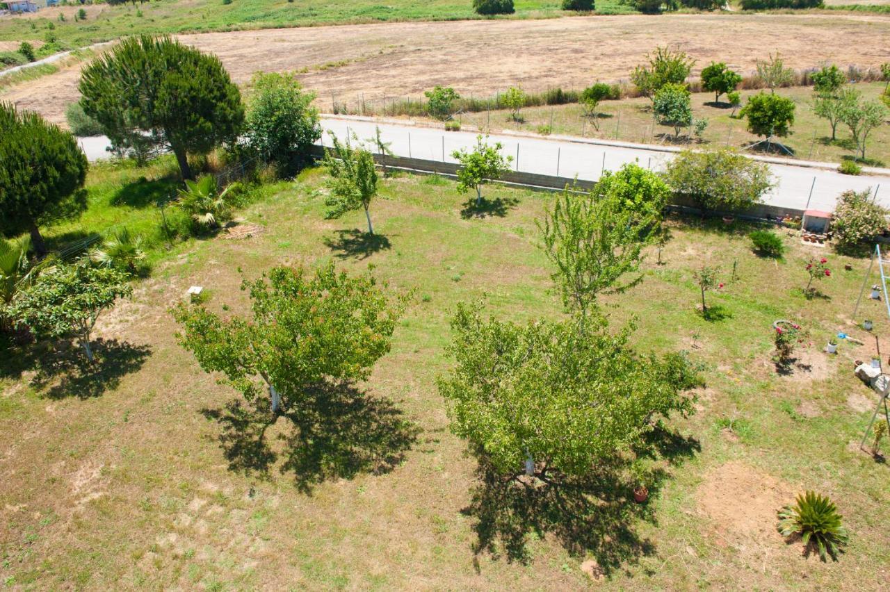 Olives Estate Apartments Grande 普雷韦扎 外观 照片