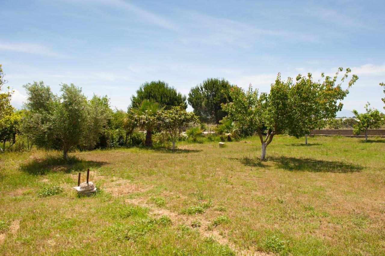 Olives Estate Apartments Grande 普雷韦扎 外观 照片