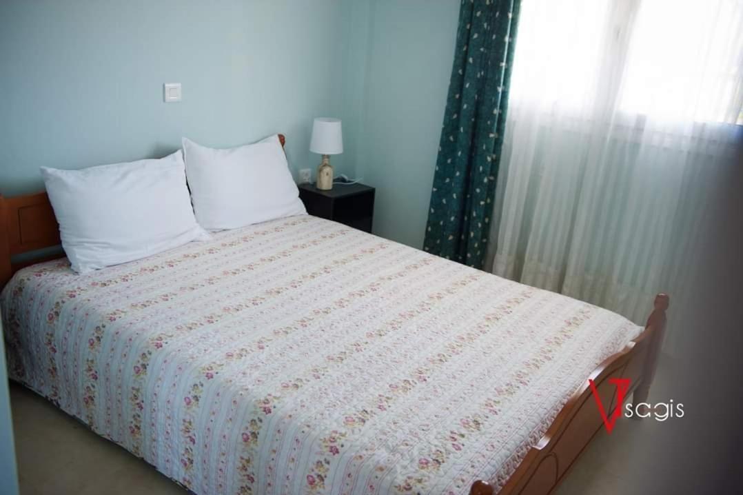 Olives Estate Apartments Grande 普雷韦扎 外观 照片
